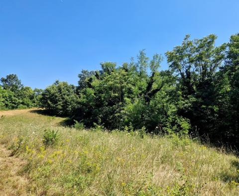 Przestronna posiadłość w Zminj na 13743 m² działki, na sprzedaż - pic 23