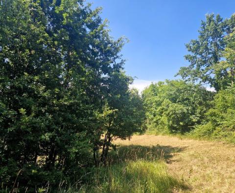 Przestronna posiadłość w Zminj na 13743 m² działki, na sprzedaż - pic 25