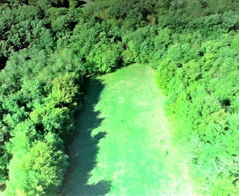 Przestronna posiadłość w Zminj na 13743 m² działki, na sprzedaż - pic 29