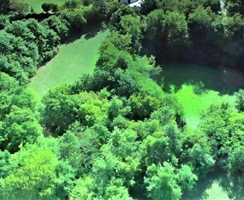 Przestronna posiadłość w Zminj na 13743 m² działki, na sprzedaż - pic 30