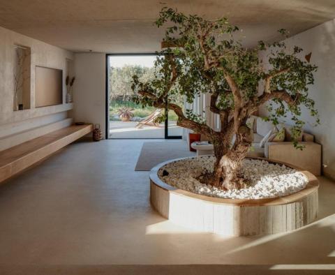 Magnificent stylish villa on Solta island, for sale - pic 20