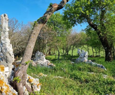 A spacious property in an enchanting location in Rabac area, for sale - pic 20