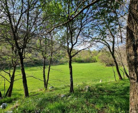 A spacious property in an enchanting location in Rabac area, for sale - pic 24