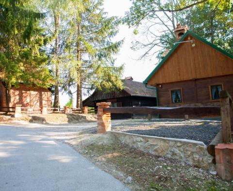 Luxusimmobilie mit zwei Häusern und Schwimmbad in Zagorje, 35 Minuten von Zagreb entfernt, zu verkaufen - foto 12