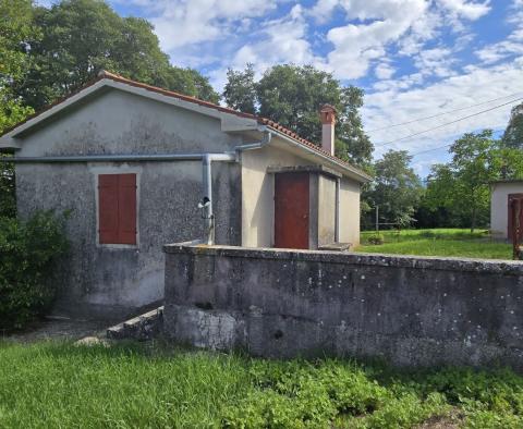 Przestronna nieruchomość z 3 domami i 18 500 m2 ziemi w okolicy Labin, na sprzedaż - pic 2