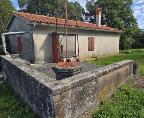 Przestronna nieruchomość z 3 domami i 18 500 m2 ziemi w okolicy Labin, na sprzedaż - pic 3