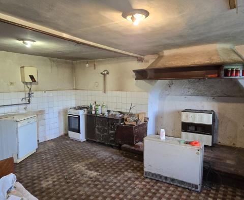 Przestronna nieruchomość z 3 domami i 18 500 m2 ziemi w okolicy Labin, na sprzedaż - pic 13