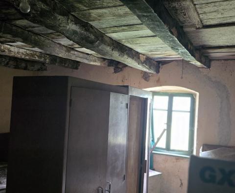 Przestronna nieruchomość z 3 domami i 18 500 m2 ziemi w okolicy Labin, na sprzedaż - pic 14