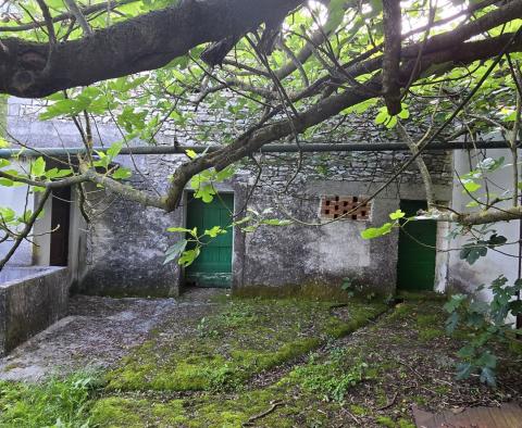 Przestronna nieruchomość z 3 domami i 18 500 m2 ziemi w okolicy Labin, na sprzedaż - pic 18