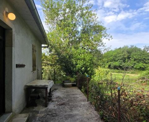 Przestronna nieruchomość z 3 domami i 18 500 m2 ziemi w okolicy Labin, na sprzedaż - pic 29