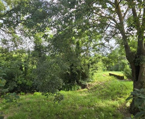 Przestronna nieruchomość z 3 domami i 18 500 m2 ziemi w okolicy Labin, na sprzedaż - pic 36
