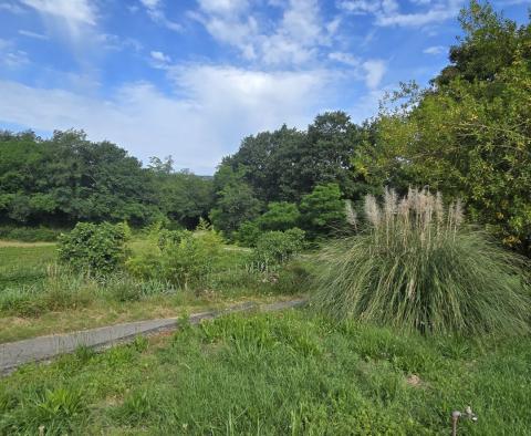 Przestronna nieruchomość z 3 domami i 18 500 m2 ziemi w okolicy Labin, na sprzedaż - pic 39
