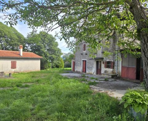 Przestronna nieruchomość z 3 domami i 18 500 m2 ziemi w okolicy Labin, na sprzedaż - pic 42