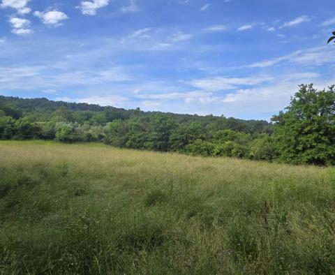 Przestronna nieruchomość z 3 domami i 18 500 m2 ziemi w okolicy Labin, na sprzedaż - pic 48