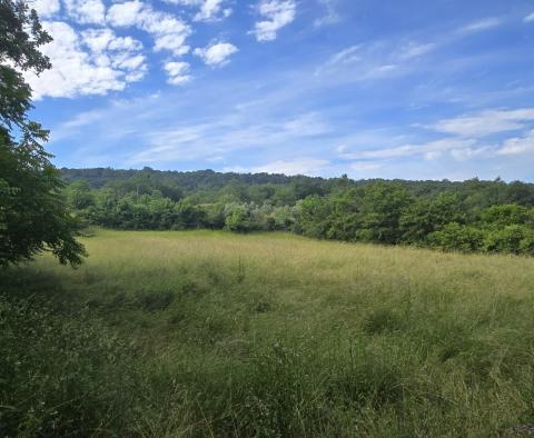 Przestronna nieruchomość z 3 domami i 18 500 m2 ziemi w okolicy Labin, na sprzedaż - pic 50
