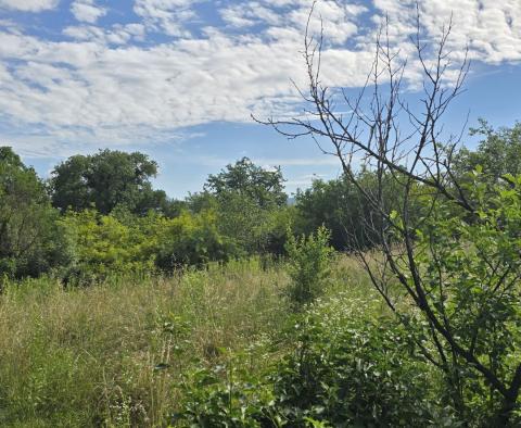 Przestronna nieruchomość z 3 domami i 18 500 m2 ziemi w okolicy Labin, na sprzedaż - pic 54