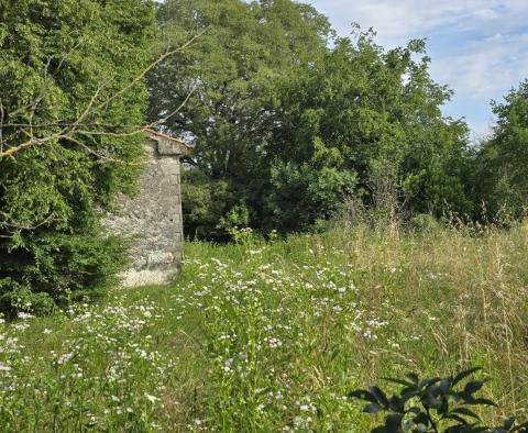 Przestronna nieruchomość z 3 domami i 18 500 m2 ziemi w okolicy Labin, na sprzedaż - pic 55