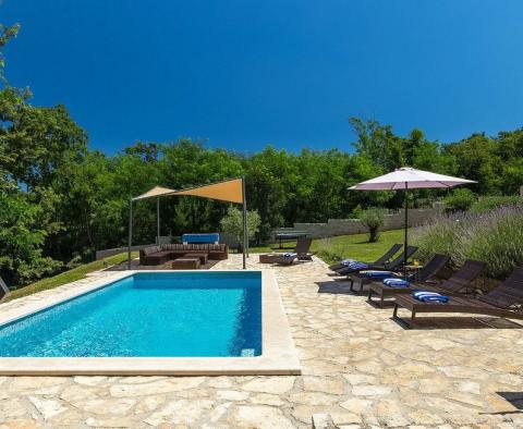 Nagyon különleges villa medencével, 4260 m²-es tágas területen és teljes magánélettel, Krsan környékén, eladó - pic 36