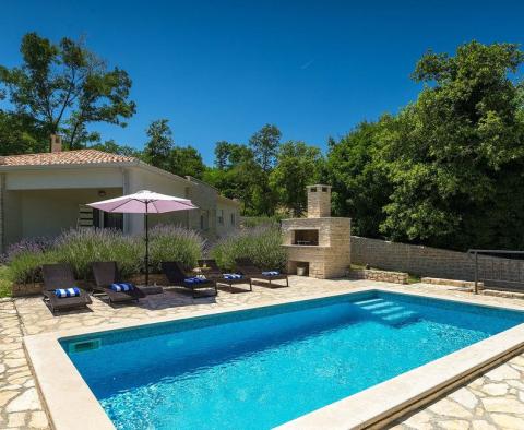 Nagyon különleges villa medencével, 4260 m²-es tágas területen és teljes magánélettel, Krsan környékén, eladó - pic 40