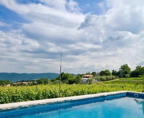 Великолепная вилла в Вижинаде, на продажу - фото 2
