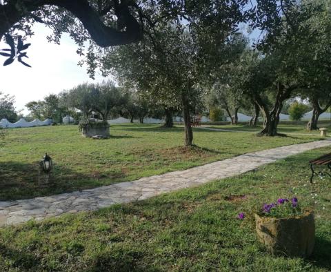 A unique rustic house with a view of the Brijuni Islands in Galizana, for sale! - pic 7