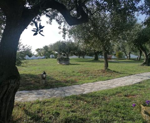 A unique rustic house with a view of the Brijuni Islands in Galizana, for sale! - pic 72