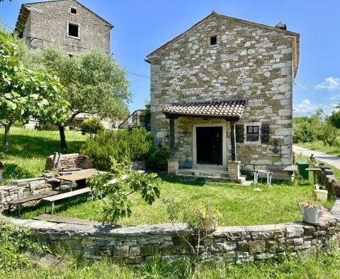 Artist's house with panoramic view in Buje, for sale - pic 5