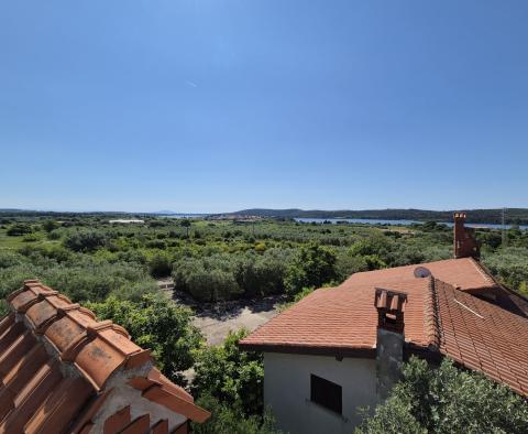 Dwa domy otoczone gajami oliwnymi i lasem z widokiem na morze, 600 m od morza, na sprzedaż - pic 15