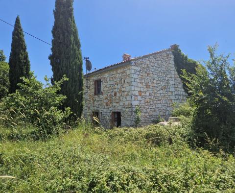 Kamienny dom na przestronnej posiadłości o powierzchni 138 000 m² w okolicy Rovinj, na sprzedaż - pic 17