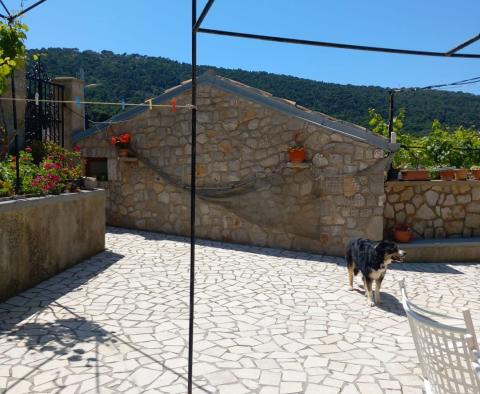 Maison en pierre avec deux appartements et vue sur la mer à Veli Losinj, à vendre - pic 5
