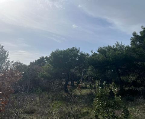 Grand terrain urbain avec vue panoramique sur la mer dans la région de Rabac, à vendre - pic 20