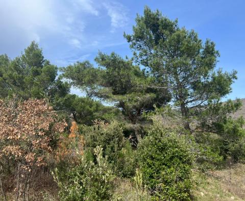 Grand terrain urbain avec vue panoramique sur la mer dans la région de Rabac, à vendre - pic 21