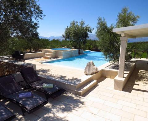 Fascinating villa in Sutivan area of the island of Brac with land plot of 11450 m2, very large land plot for real estate in Croatia! - pic 9