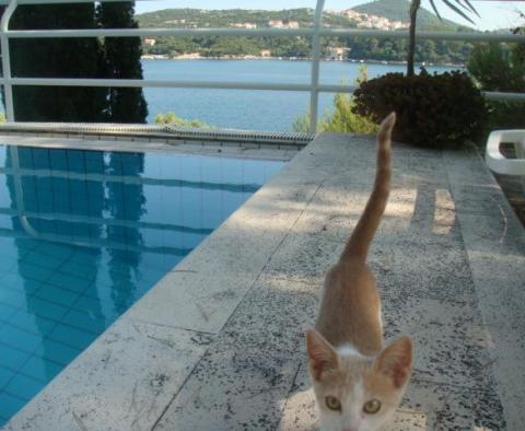 Jedinečná nádherná vila s bazénem na PRVNÍ ŘADĚ u moře v blízkosti Dubrovníku, Chorvatsko - pic 10
