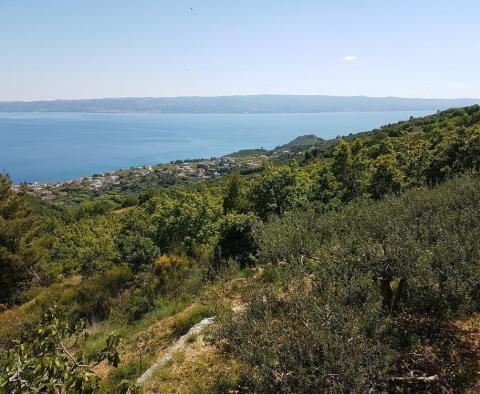 Urbanized land with panoramic sea view in Podstrana - pic 7
