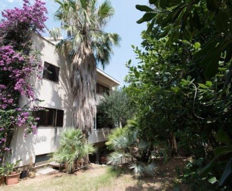 Investment property in the center of Split 