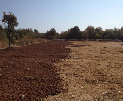 Spacious land plot 600 meters from the sea in Rovinj area (Vestar) - pic 2