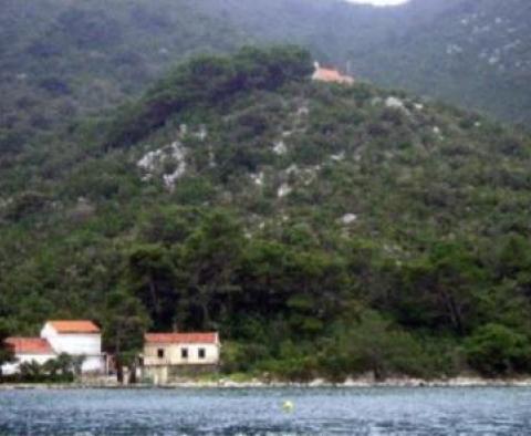Unique waterfront building land on Mljet island - 50 shades of green colour - pic 9