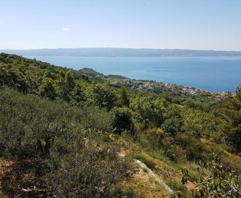 Baugrundstück mit Panoramameerblick in Podstrana - foto 7