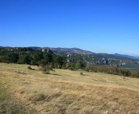 Obrovský pozemek ve vnitrozemí Istrie nedaleko Pazinu - pic 3