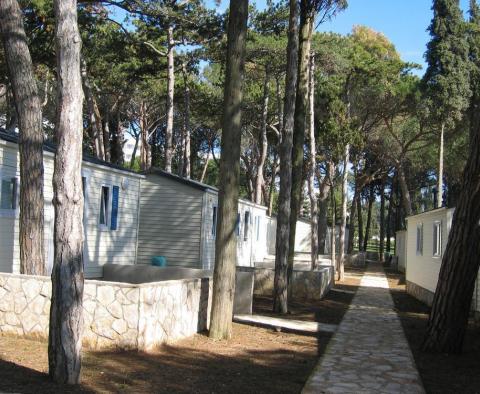 Seafront camping project in for sale, Porec area - pic 2