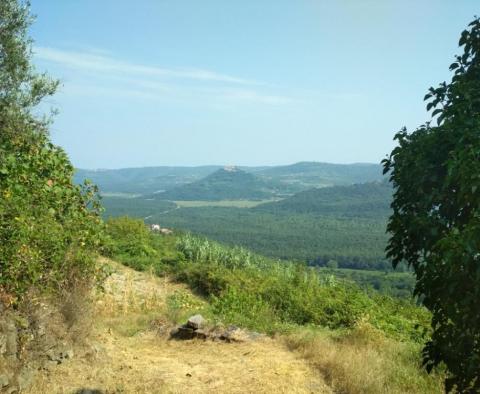 Фантастический земельный участок на продажу в районе Мотовун с прекрасным видом на Истрию - фото 2