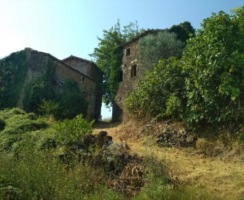 Fantastický pozemek na prodej v oblasti Motovun s nádherným výhledem na Istrii - pic 5