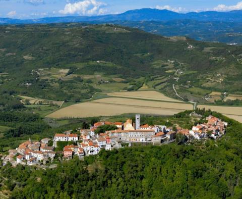 Huge land plot for sale in Livade area in Motovun valley meant for residential construction 