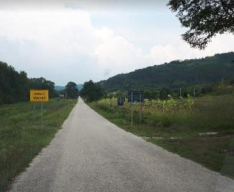 Huge land plot for sale in Livade area in Motovun valley meant for residential construction - pic 4