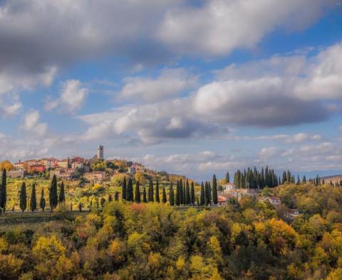 Huge land plot for sale in Livade area in Motovun valley meant for residential construction - pic 6