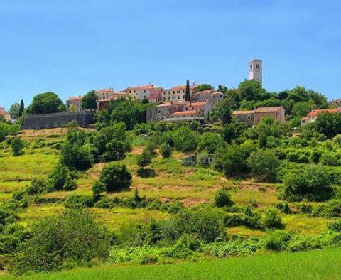 Obrovský pozemek na prodej v oblasti Livade v údolí Motovun určený pro rezidenční výstavbu - pic 7