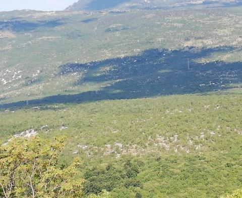 Obrovský zemědělský pozemek na Istrii, přes 1 milion m2. - pic 7