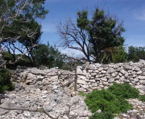 Opportunité unique de devenir maître de votre propre île à proximité de Mali Losinj - pic 10