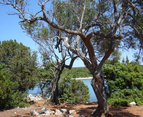 Opportunité unique de devenir maître de votre propre île à proximité de Mali Losinj - pic 16